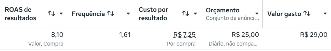 Campanha com ROAS de 8,10 e R$ 29,00 investidos